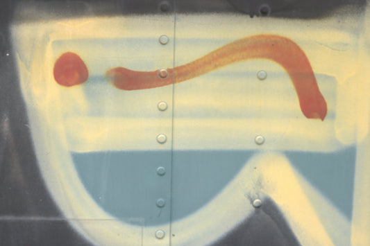 Graffiti 16